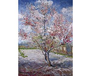 Close Up Poster Souvenir de Mauve Vincent Van Gogh (50cm x 70cm)