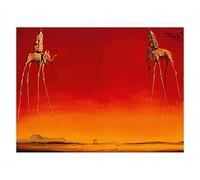 Close Up Salvador Dali KUNSTDRUCK, Poster, Affiche (80cm x 60cm)