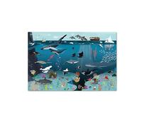 Close Up Sous-main pour enfants - Motif monde sous-marin - 60 x 40 cm - Facile à nettoyer - Imperméable - Indéchirable - Motif détaillé et conçu avec soin - Dessiné à la main - Fabriqué en Allemagne