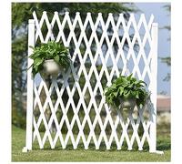Clôture de jardin rétractable pour animaux domestiques, panneaux de treillis en bois autoportants, pour l'extérieur, 80 x 160 cm, clôture de jardin pour animaux domestiques et plantes
