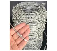 Clôture de sécurité Anti-Coupure, Fil barbelé galvanisé Extensible, clôture à Double Brin crypté pour la Protection du Jardin
