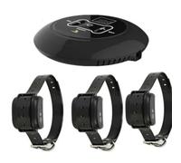 Clôture électrique sans Fil pour Chien Système de Confinement Émetteur de Signal sans Fil Collier de Dressage pour Chien avec Chocs électriques vibrants(for 3 Dog)