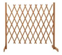 Bois de Sapin Clôture en Treillis de Jardin Orange 120x60 cm Extérieur vidaXL