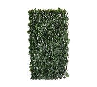 Clôture en treillis de saule "Fragon" - 200 x 100 cm - Vert