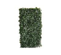 Clôture en treillis de saule ""Fragon"" - 200 x 100 cm - Vert