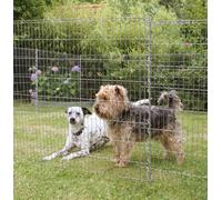 Clôture Teichschutzzaun Petit Enclos Animaux Bellissa 92883 6 Pièces L710 X H80