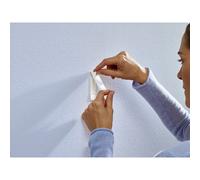 tesa Clou adhésif 77773 – pour papier peint et plâtre, charge 1 kg, blanc, 2 pièces