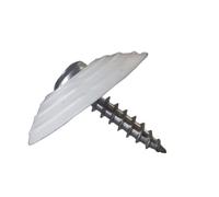 Clou podotactile - inox brossé - à visser - brossé - par 200 WATTELEZ