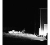 Cloud Nothings - Dernier Bâtiment Brûlant Du Vinyle