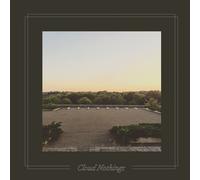 Cloud Nothings - The Black Hole Understands [Vinyl Lp] Colored Vinyl, Gold