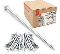 Clous 1.6x30mm 5kg env. 9450 pcs. | Clou galvanisé pour menuiserie, toiture, coffrage | Clou acier pour bois, construction, bricolage | Clous Drahtstift Lun Fix