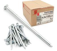 Clous 2.5x60mm 1kg env. 100 pcs. | Clou galvanisé pour menuiserie, toiture, coffrage | Clou acier pour bois, construction, bricolage | Clous Drahtstift Lun Fix