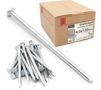 Clous 4.0x120mm 1kg env. 80 pcs. | Clou galvanisé pour menuiserie, toiture, coffrage | Clou acier pour bois, construction, bricolage | Clous Drahtstift Lun Fix