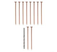 Clous d'arbre en cuivre, 8,9 cm, pointes tuant les souches en cuivre pur pour enlever les racines, compatibles avec les forets pour le contrôle des arbres de jardin