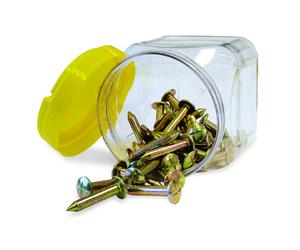 CLOUS DE GEOMETRE - ARPENTAGE METRICA 100PCS - 00250