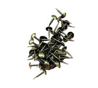 Clous de tapisserie d'ameublement en Bronze Antique, 100 pièces, punaises décoratives, boîte bois, clous meubles, punaise porte(8x20mm white)