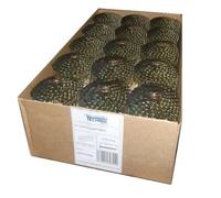 Clous de toiture en goudron 3,1 x 32 mm - Galvanisés lisses - Pour cloueuse à 16°