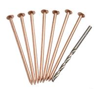 Clous en cuivre de 10,2 cm de long pour tuer les arbres et les souches, pour enlever les racines (15 pièces)