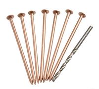 Clous en cuivre de 10,2 cm pour la gestion des souches, solution efficace pour les problèmes de racines des arbres (15 pièces)