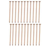 Clous en cuivre pour enlever les souches d'arbre - 7,6 cm - Pour tuer les racines - Pointes en cuivre pour la gestion des racines des arbres et aider à enlever la croissance indésirable des arbres