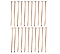 Clous en cuivre pour tuer les racines et les souches d'arbre, 7,6 cm de long avec pointes de clous pour enlever les arbres, matériel pour contrôler la croissance des arbres à l'extérieur