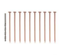 Clous en cuivre robuste de 8,9 cm pour enlever les souches en cuivre pur - Tue-racines de jardin bio - Destructeur de racines - Vis d'arbre pour