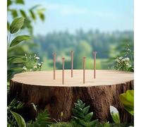 Clous tue-souches en cuivre pur de 65 mm et 75 mm pour enlever les souches d'arbre, jardinage et aménagement paysager (E)