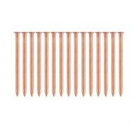Clous tueurs de souches d'arbre en cuivre massif de 5,1 cm pour enlever les racines en cuivre massif pour le jardinage, outils de destruction des souches de jardin