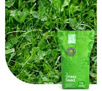 Clover Lawn : Semences de gazon avec micro-trèfle - 2 kg pour 100 m² - Pelouse luxuriante et durable - Résistante à la sécheresse - Peu d’entretien - Idéale pour les zones ombragées