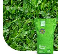 Clover Lawn : Semences de gazon avec micro-trèfle - 5 kg pour 250 m² - Pelouse luxuriante et durable - Résistante à la sécheresse - Peu d’entretien - Idéale pour les zones ombragées