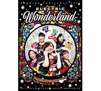 Clover Z-Momoiro Christmas 2017-Kanzen Muketsu No Electric Wonderland-Live (4 DVD) [Edizione: Giappone] [Import]