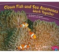 Clown Fish And Sea Anemones Work Together