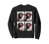 Clown Labrador Retrievers avec Lunettes de Soleil Kidcore Halloween Sweatshirt