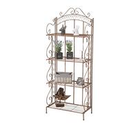 CLP Etagère de Rangement Antje I Etagère de Jardin en Fer Forgé I Porte-Plante en Métal Etagère de Rangement Pliable 4 Niveaux de Rangement, Couleur:Marron Antique
