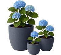 CLP Grand bac à Plantes, Set de 3 pour l'extérieur et l'intérieur, Outdoor XXL bac à Fleurs Rond, résistant aux intempéries et au Gel, Couleur:Anthracite