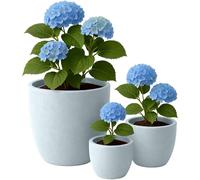 CLP Grand bac à Plantes, Set de 3 pour l'extérieur et l'intérieur, Outdoor XXL bac à Fleurs Rond, résistant aux intempéries et au Gel, Couleur:Gris