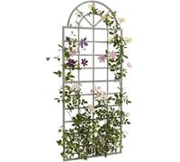 CLP Trellis Viva en Fer avec Arche Ronde et Supports integres, Aide ideale pour Plantes grimpantes au Jardin terrasse ou Balcon | Couleur Vert Antique