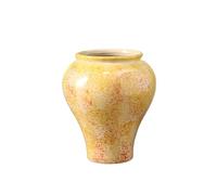 CLQYXRMVC Pot de Fleurs Ces Pots de Fleurs en céramique Style Vintage sont idéaux for cultiver des orchidées Phalaenopsis et d'autres Plantes Pot de Jardinage(Yellow)