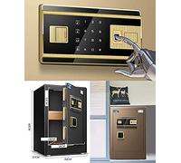 CLSDRZC Empreinte Digitale biométrique Shome Swith Solid Steel Mur ou Cabinet Ancrage pour Home Office Hotel Jewelry Hand Passport Cash Money Security S/Gold