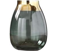 CLSDRZC Minimalist Transparent Vase Green Decorative Phnom Penh Glass Vase Decoration Glass Crafts Living Room Table Decoration,Small(Large)
