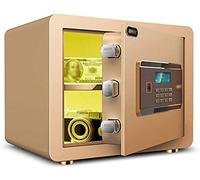 CLSDRZC SAPES S pour L'ARMABLE DE SÉCURITÉ ， Small Mot Mot Mot Mot Mot Mot Mot de Passe de sécurité Antift: Office/Home/Finance Safe Red Rose