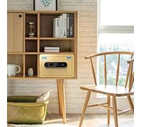 CLSDRZC Sécurité, Armoire avec Verrouillage de Combinaison électronique avec Table de Chevet d'empreintes digitales de Bureau de Maison en Acier en Acier de 25 cm