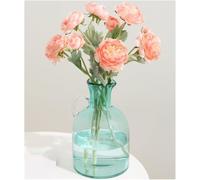 CLSDRZC Vase de Fleurs Nouvelles, décoration de Vase en Verre de Haute qualité, Arrangement de Fleurs du Salon, Soins Transparents de l'eau, Vase de décoration de décoration de Luxe légère