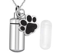 CLSSLVVBN Urne funéraire pour Animaux de Compagnie - Service de Souvenirs - Urne funéraire en Acier Inoxydable qualité supérieure - commémorative Durable, Pendentif, 2.8 x 1.1 cm