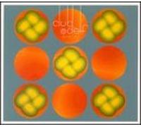Club D'Elf - As Above : Live At The Lizard Lounge