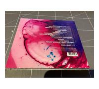Clubbing Vol.2-Electronic Delights Of The Past & Future