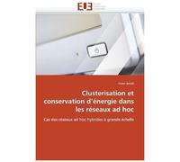 Clusterisation Et Conservation D''énergie Dans Les Réseaux Ad Hoc