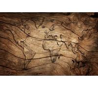 CLVIUJLBKLKSDD Papier Peint Panoramique 3D Nature Jungle Tropicale Fleurs Carte Du Monde Vintage En Bois 250Cmx175Cm Motif Chinois Chambre Adulte Enfant Fond Salon Poster Geant Mural