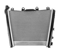 CLWYWUL Réservoirs radiateur Compatible avec S1000 RR 2019 2020 2021 2022 2023 2024 Moto Remplacement Radiateur Refroidisseur d'eau Réservoirs De Liquide De Refroidissement en Aluminium