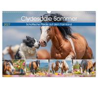 Clydesdale Sommer. Schottische Pferde auf dem Farmland (Wandkalender 2027 DIN A3 quer), CALVENDO Monatskalender: Die kraftvolle Eleganz schottischer ... in all ihren Facetten auf weiten Farmwiesen
